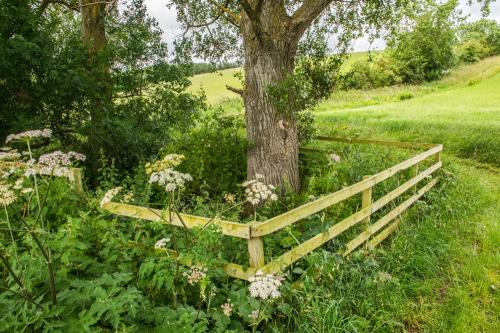 The likely site of King James IV's death