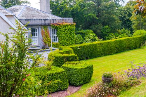 The terrace garden behind the house