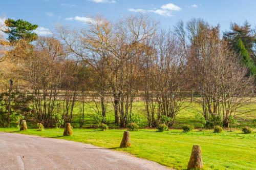 Hagley Hall grounds