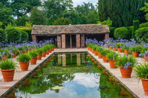 The Dutch Garden