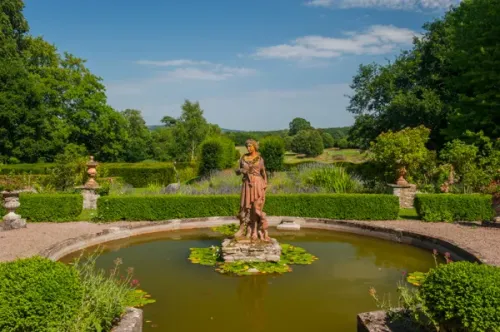 The garden pond