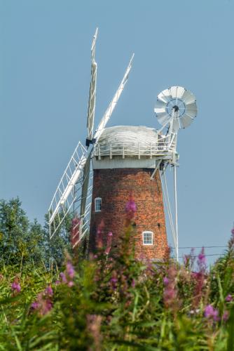 Horsey Mill