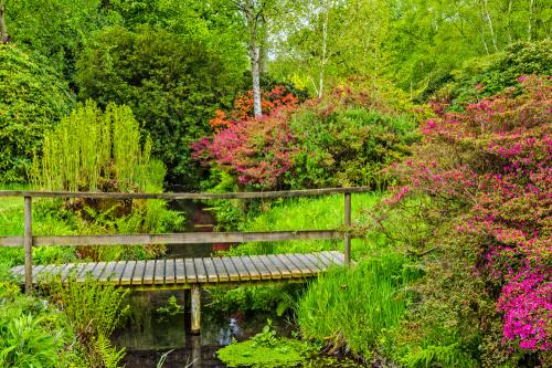 A footbridge in the informal gardens