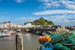 Ilfracombe, Ilfracombe harbour