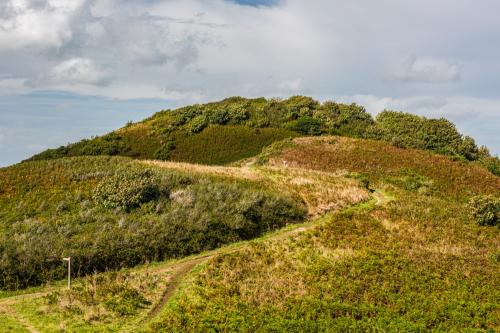 Hillsborough Iron Age settlement