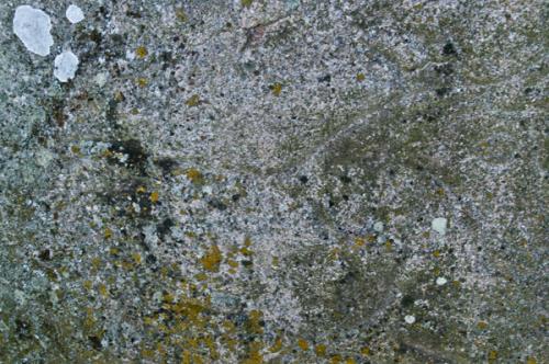 Horse carving (hard to see, I know!)