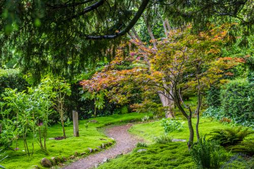 The Japanese Garden