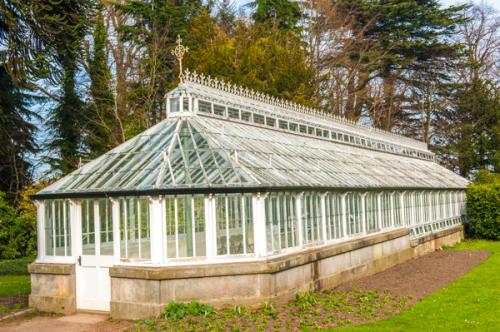The Victorian greenhouse