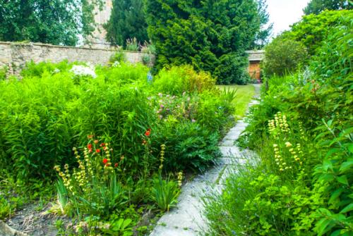 The recreated medieval garden