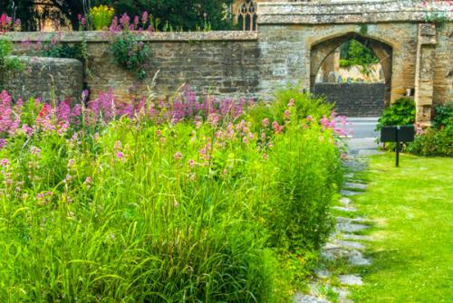 The path to the 15th century gateway
