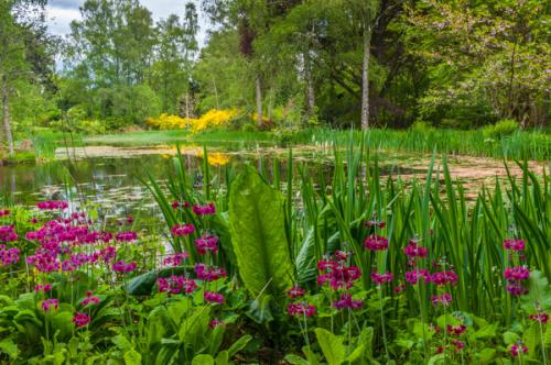 A beautiful lake walk in the garden