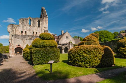 Cloister garden topiary