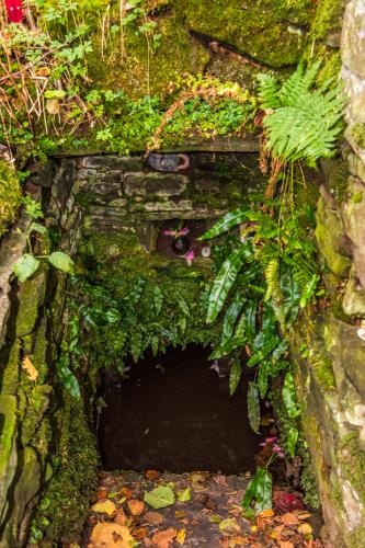Looking into the holy well