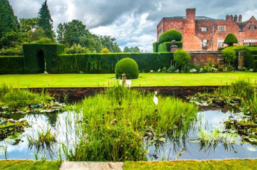 The garden pool and the house