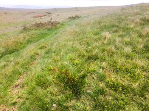 Remains of the fort earthworks