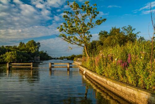 Ranworth Broad