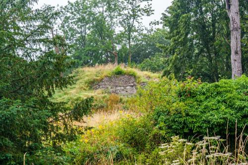 The castle motte from the churchyard