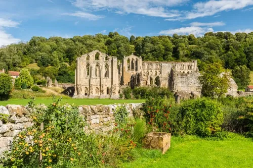 Rievaulx Abbey