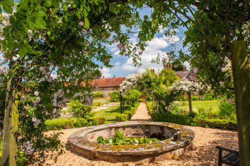 The gardens at Scawby