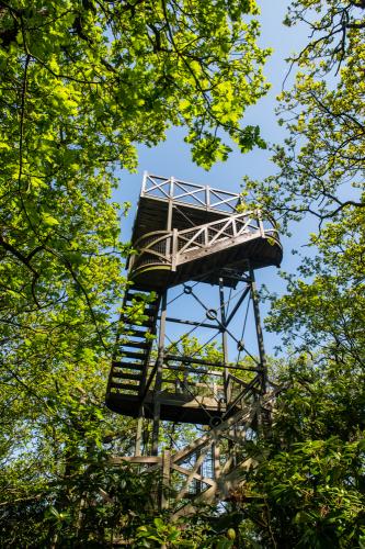 A garden viewing platform