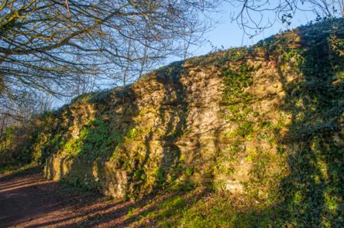 Silchester city wall on the west side
