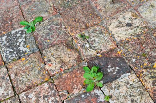 Medieval floor tiles