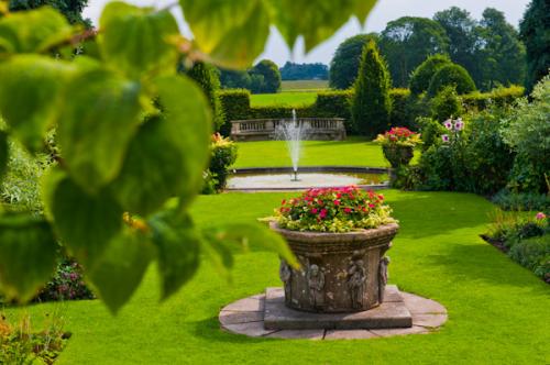 The formal terrace garden