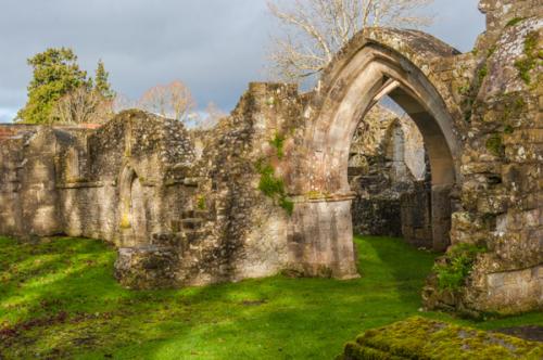 Ruins of the nave, south wall