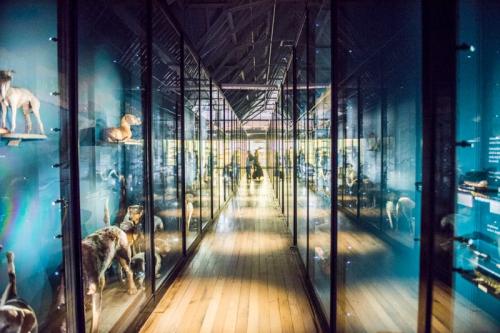 Gallery 7 exhibits