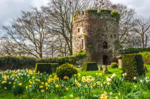 The Garrison Tower