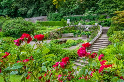 Curving stairs in the garden