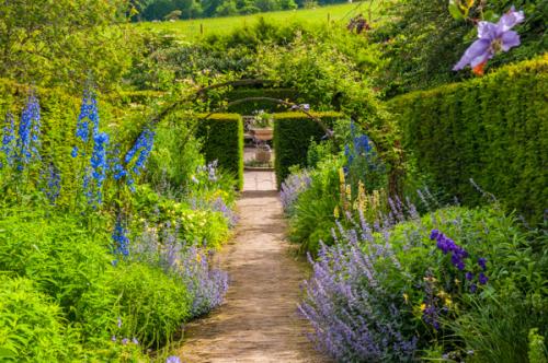 Trellised walks and hedges