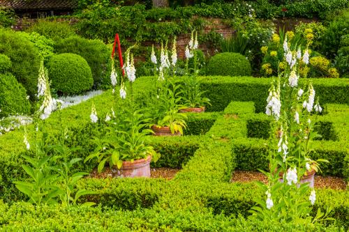 Clipped hedges in the Walled Garden