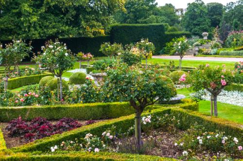 The formal parterre