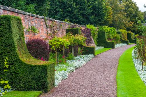The Rose Walk