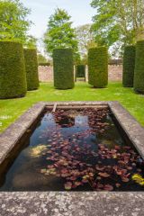 A quiet pool in the rear garden