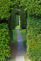 Topiary arches in the garden