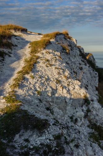 Closeup of the chalk that makes up the Cliffs