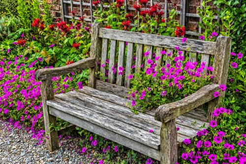 A quiet garden bench