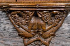 Misericords of the World