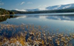 Cairngorms Travel Tips
