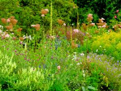 Northumberland Passionate Gardeners Group