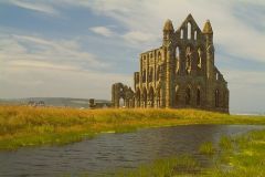 Whitby Abbey Victorian Gothic Nights