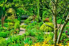 Ascog Hall Garden and Fernery