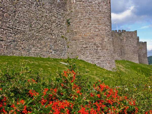 Conwy Castle photo, Conwy Castle