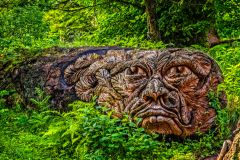 Tree sculpture in the gardens at Cragside