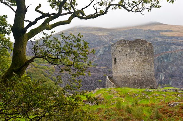 Dolbadarn Castle photo, Dolbadarn Castle