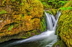 Waterfalls in Dollar Glen
