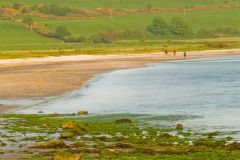 Ettrick Bay