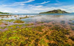 Holy Island from Whiting Bay